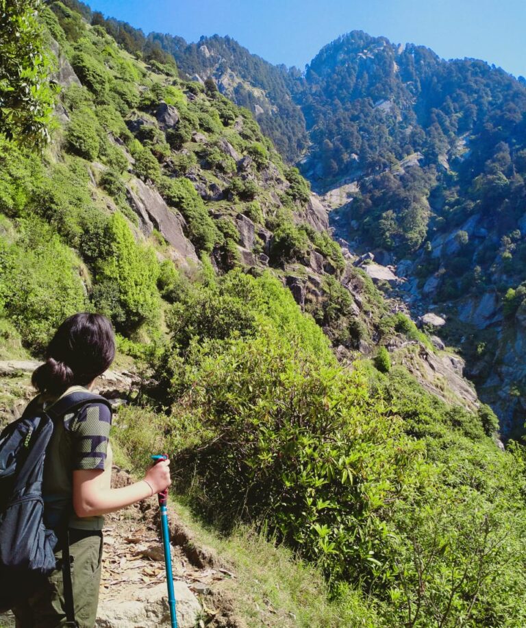 Triund Day Hike from McLeod Ganj 2 Hiker walking along the green trail to Triund