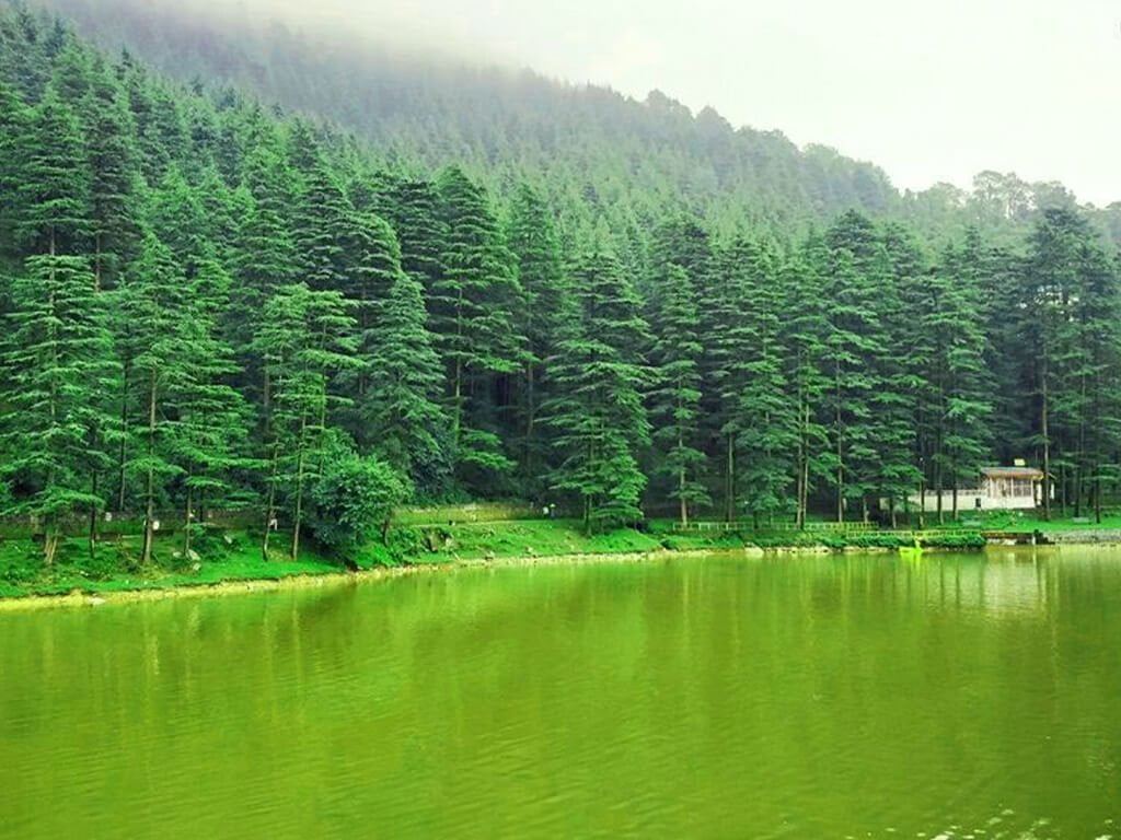 a body of water with trees and a building on the side