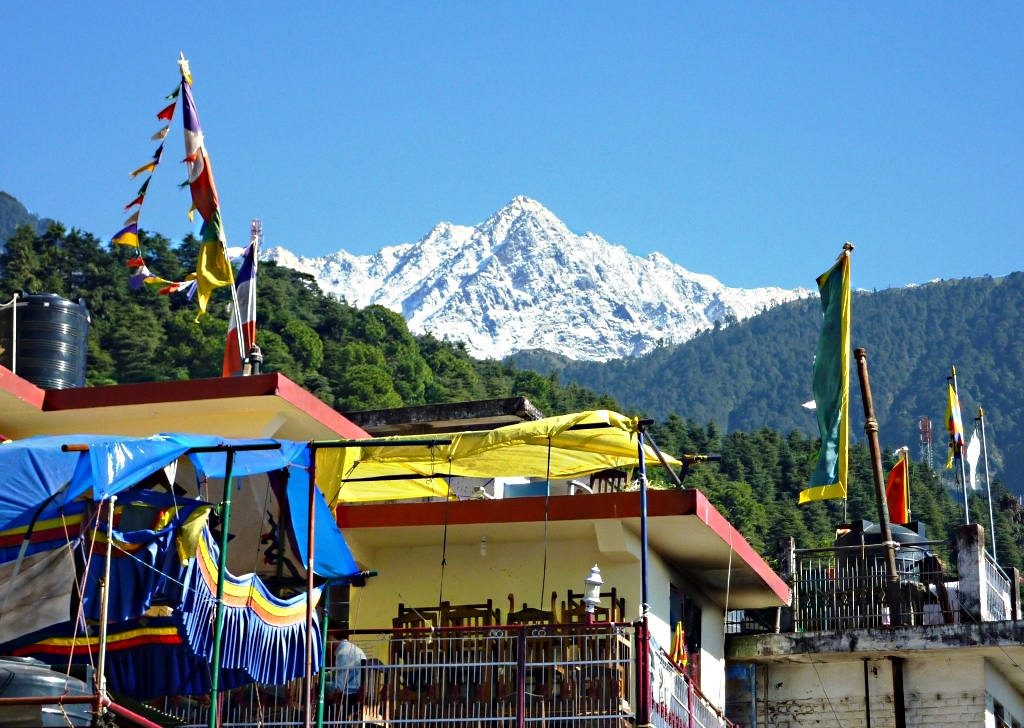 Top Things to Do in McLeod Ganj: A Complete Travel Guide. 9 McLeod Ganj town with Buddhist prayer flags and monastery rooftops set against snow-capped Dhauladhar mountains in Dharamshala
