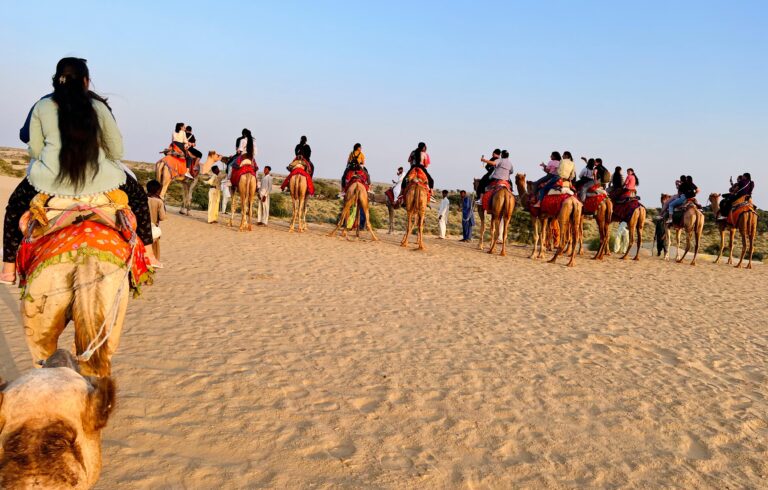 Camel safari with travelers in the Thar Desert near Jaisalmer, Rajasthan