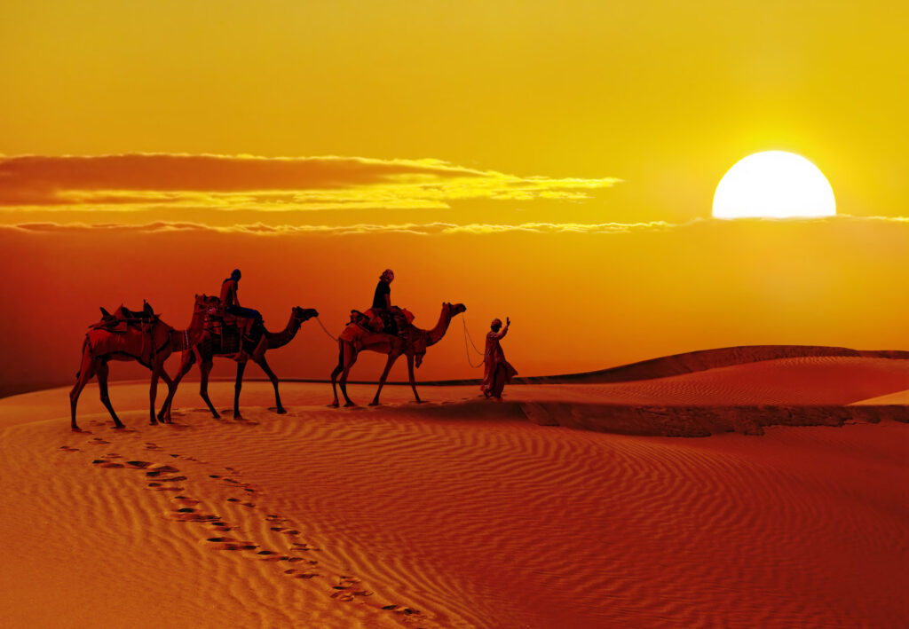 Camel safari at sunset in the Thar Desert, Jaisalmer, Rajasthan