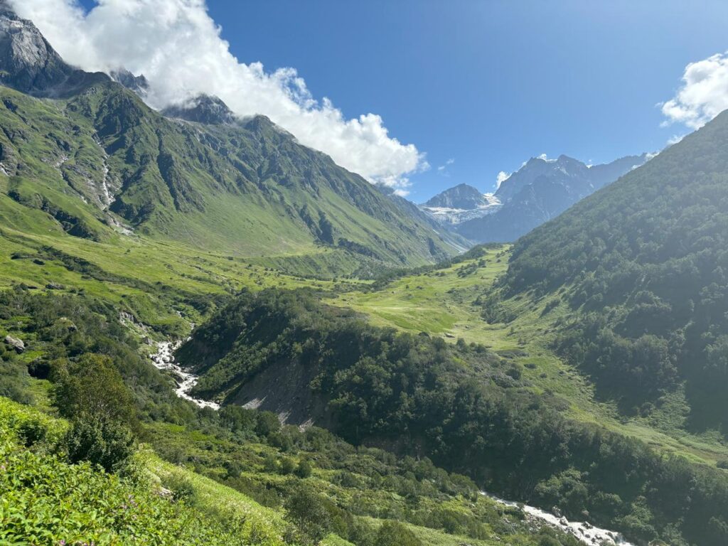 Lush green Valley of Flowers with alpine meadows, mountain stream, and Himalayan peaks in Uttarakhand