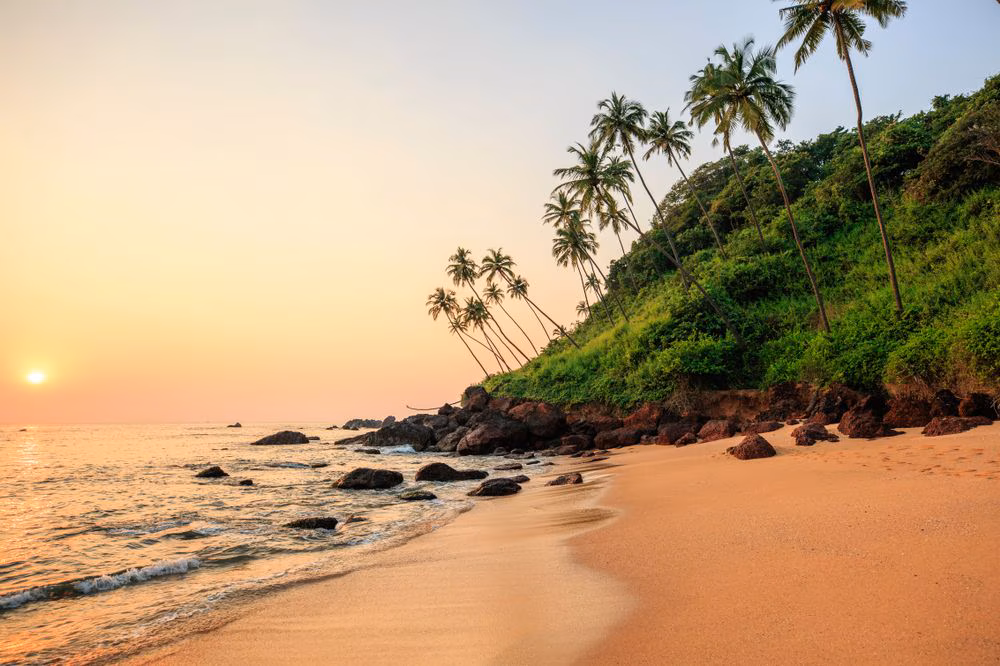 Golden sunset at a palm-lined beach in Goa, India