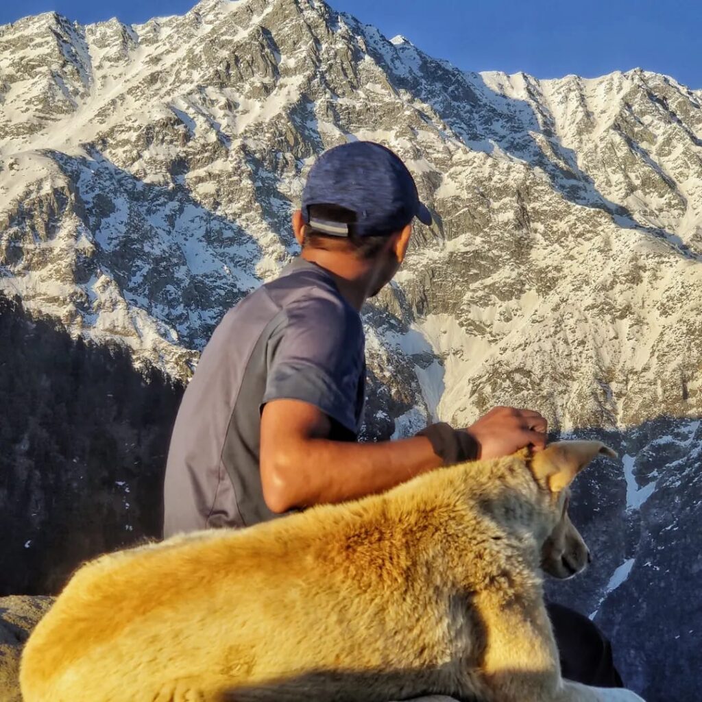 Trekker resting with a Himalayan dog overlooking snow-covered Dhauladhar mountains on the Thatharana Trek near Dharamshala