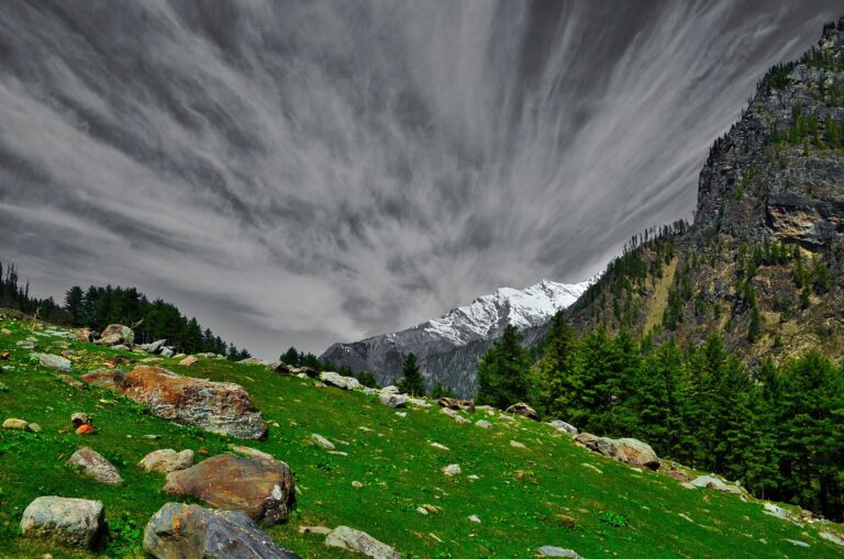 Lush green meadow with scattered rocks, pine trees, and snow-capped Himalayan mountains under dramatic clouds on the Kheerganga trek.