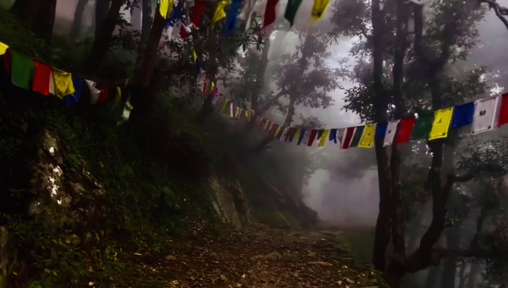 Why Monsoon Trekking in Himachal is Magical (and Underrated!) 5 Misty forest trail in Himachal with colorful prayer flags during monsoon trek