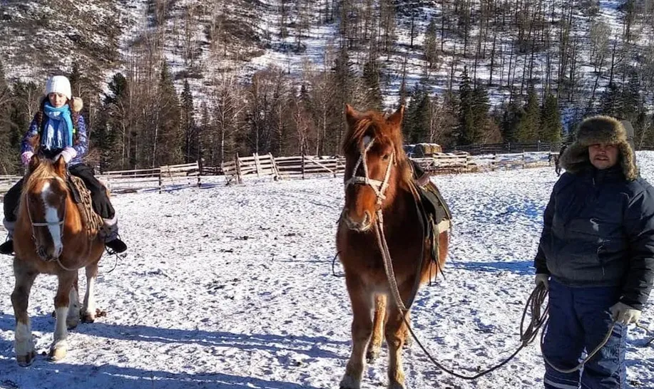 Horse riding in a snow-covered meadow in Kufri with a guide standing beside the horse and pine trees in the background.