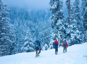 Group of trekkers walking through a snowy forest during winter in India