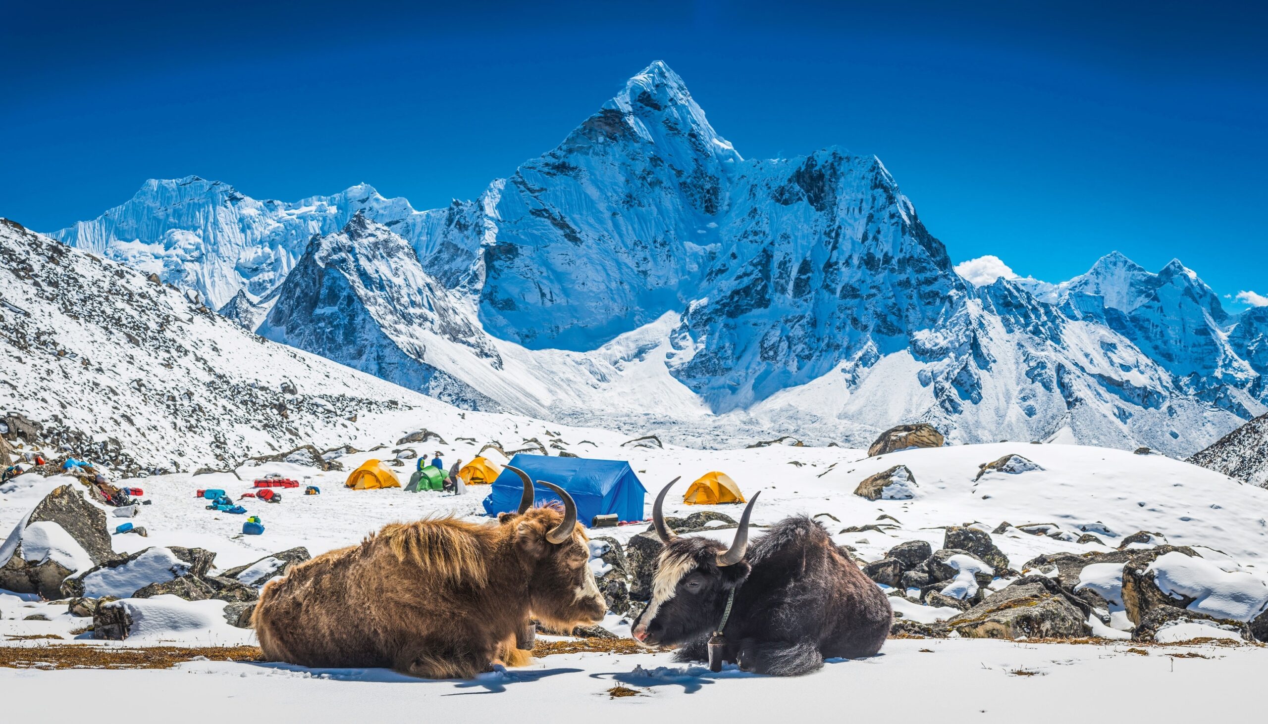 Trekkers with backpacks and camping gear walking through the Himalayan mountains, fully prepared for a guided mountain camping and trekking expedition