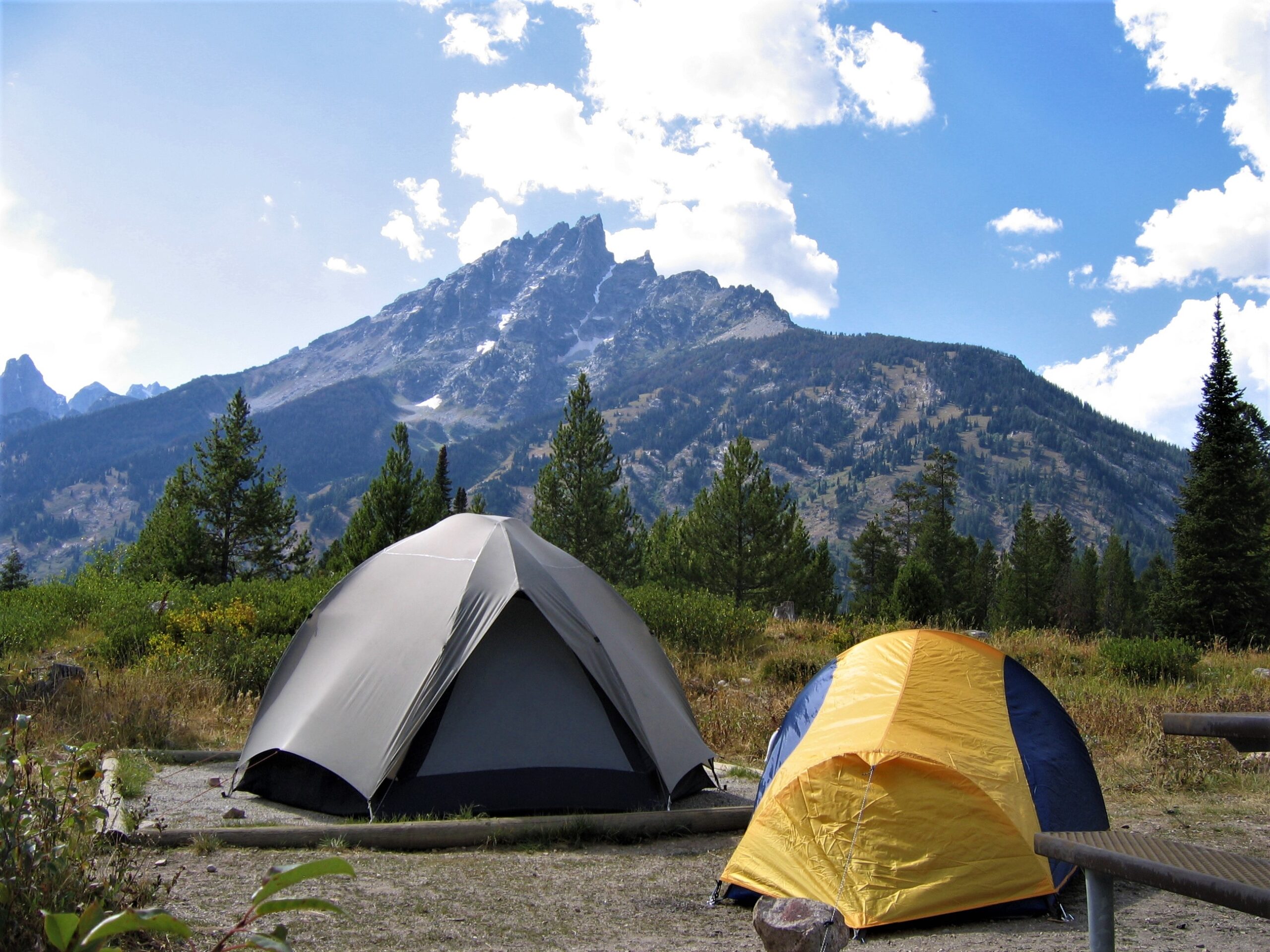 Mountain camping tents pitched in a forested Himalayan valley with snow-capped peaks under a clear blue sky