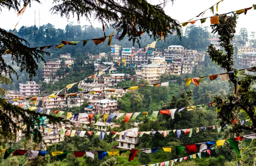 Best Dharamshala Tour Packages for Your Trip – A Complete Travel Guide - https://manuadventuresindia.com