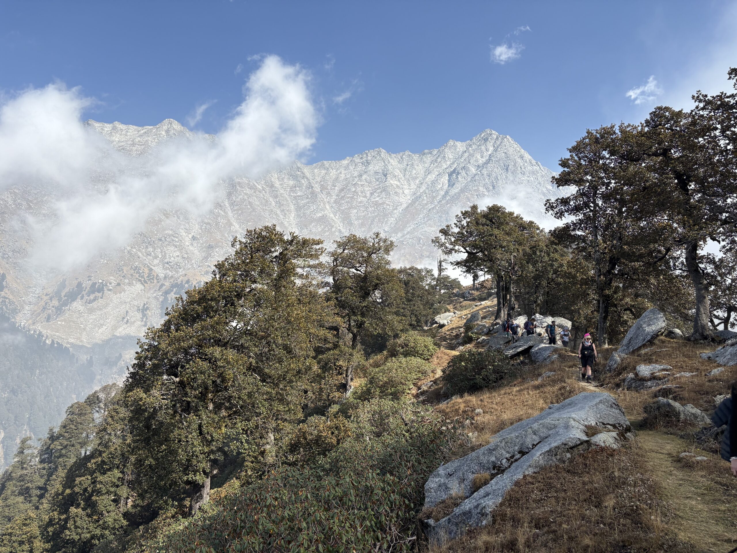 Dhauladhar mountain view from Dharamshala with forest trail in the Himalayas