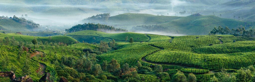 Travel in India: A Journey Through Culture, Nature & Adventure 3 Kerala backwaters with lush green landscape and scenic nature view