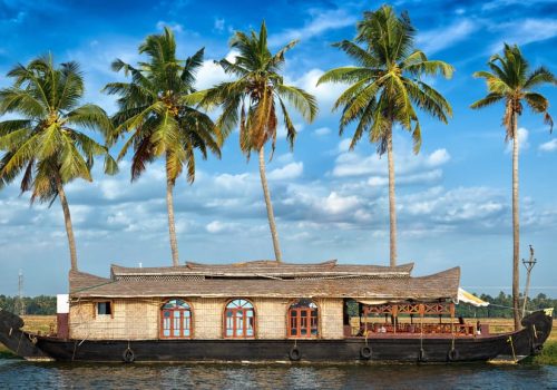 a boat on the water with palm trees