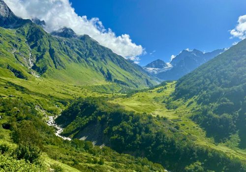 Valley of Flowers