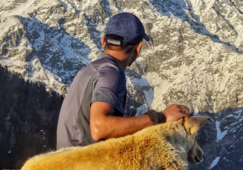 a man sitting on a rock with a dog in front of a mountain