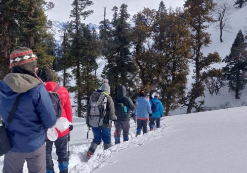 Kedarkantha Trek